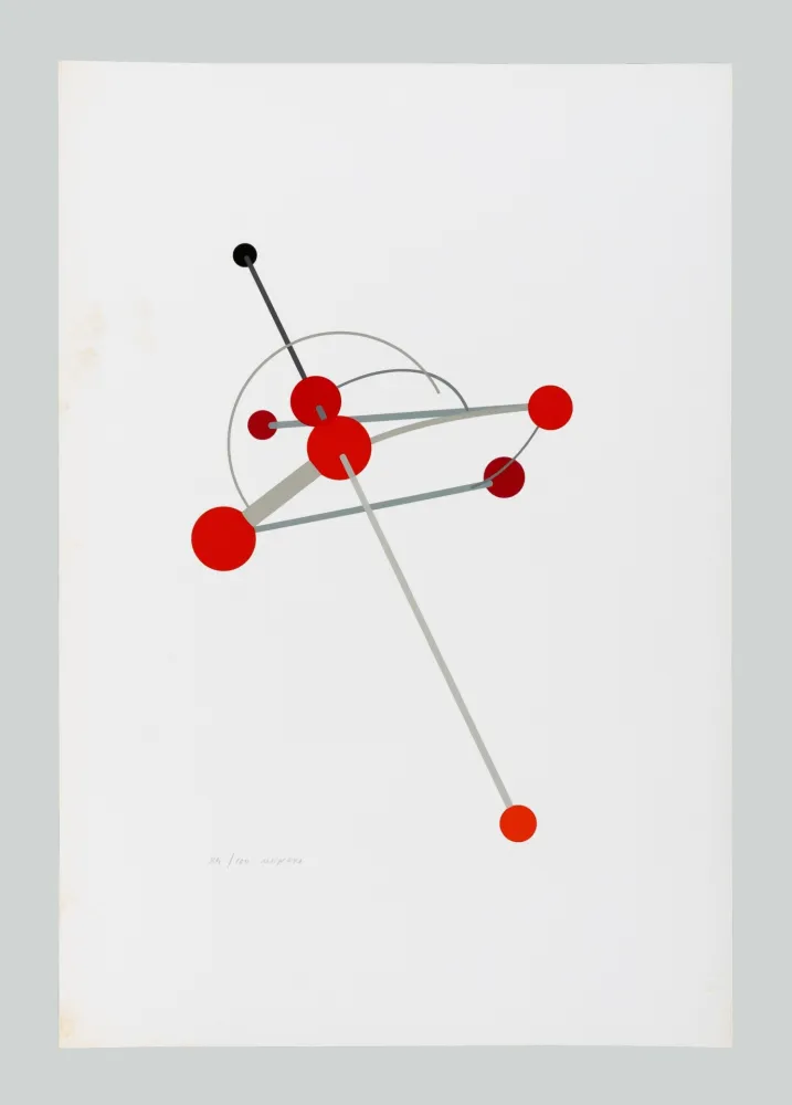 丝网印刷 Munari - Macchina aerea