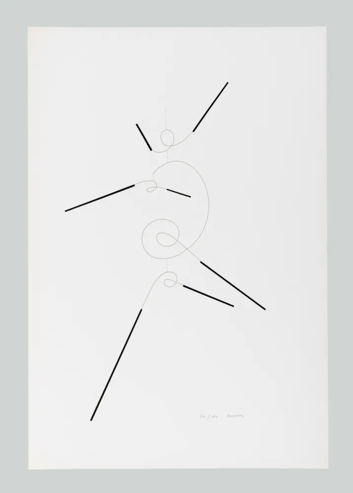 丝网印刷 Munari - Macchina inutile