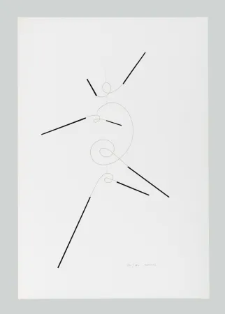 丝网印刷 Munari - Macchina inutile