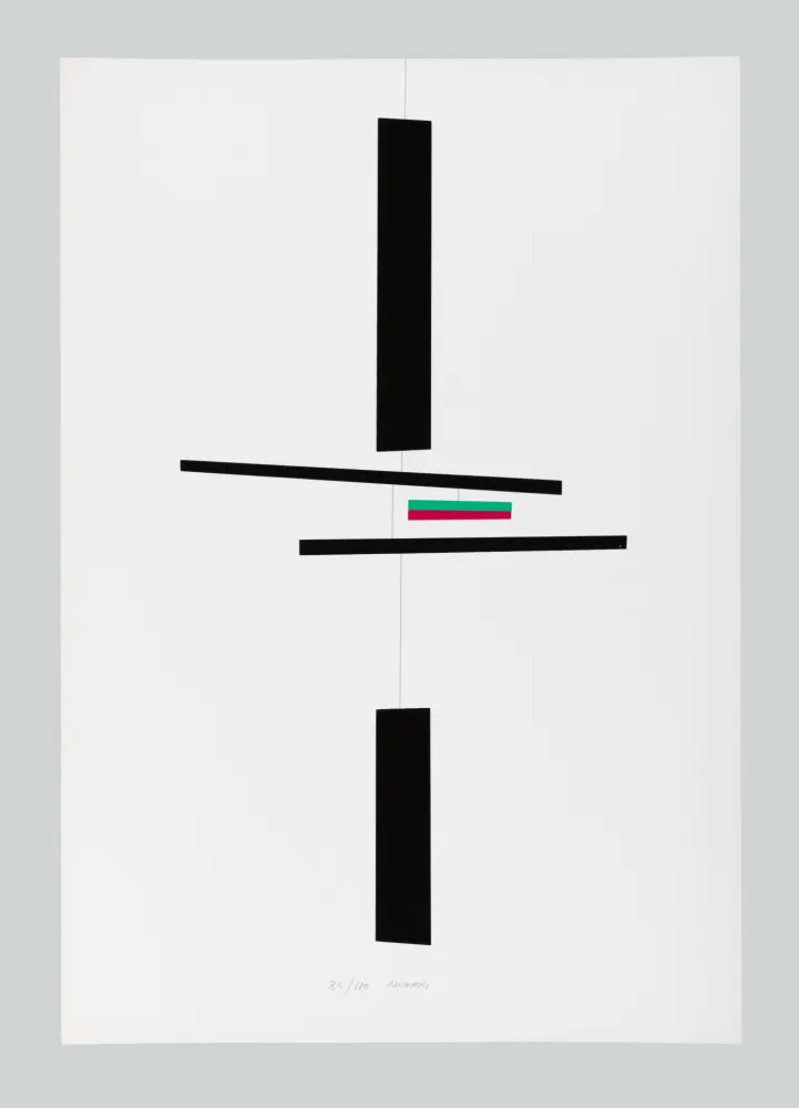 丝网印刷 Munari - Macchina inutile