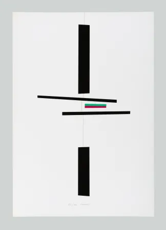 丝网印刷 Munari - Macchina inutile