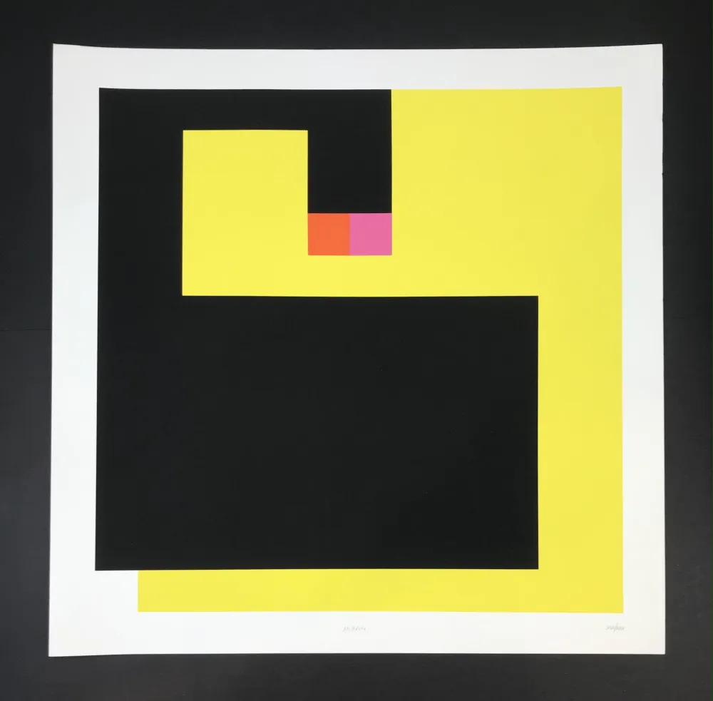 丝网印刷 Munari - Negativo positivo