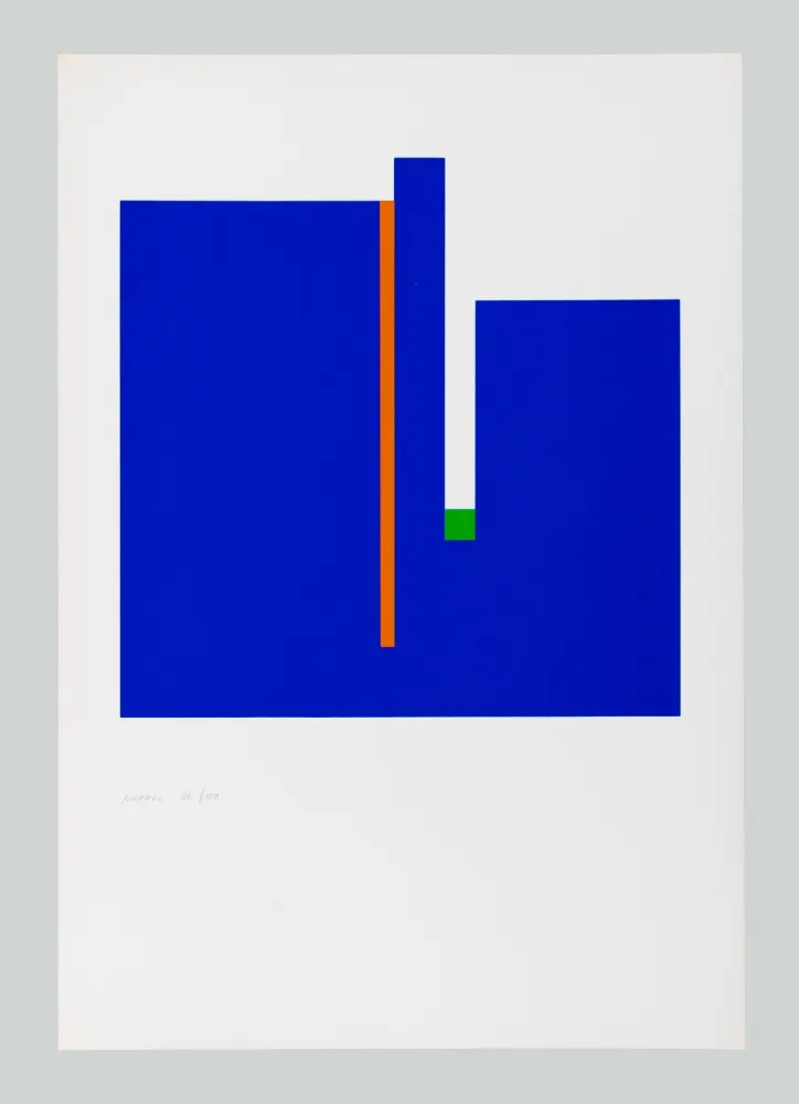 丝网印刷 Munari - Negativo positivo