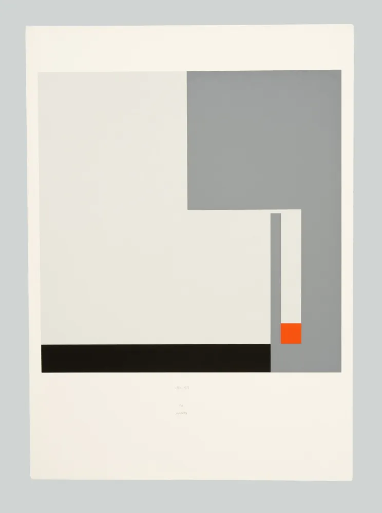 丝网印刷 Munari - Positivo negativo