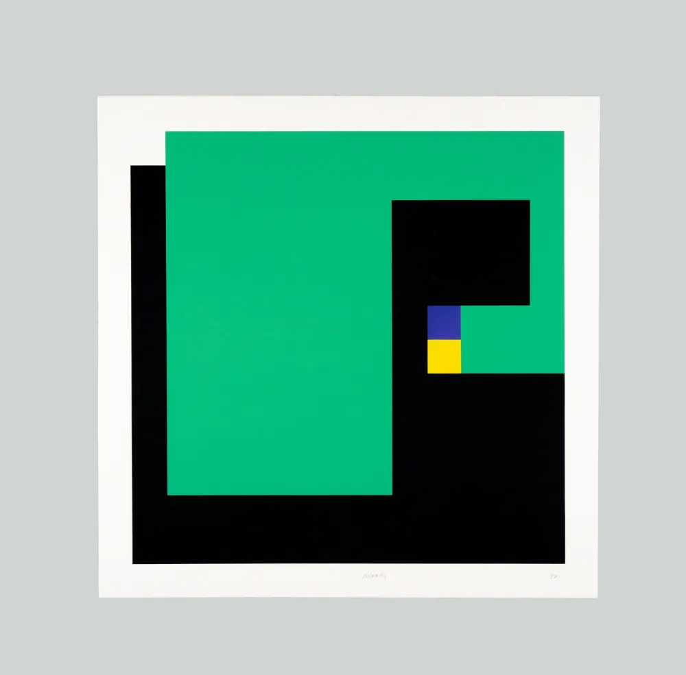 丝网印刷 Munari - Positivo negativo