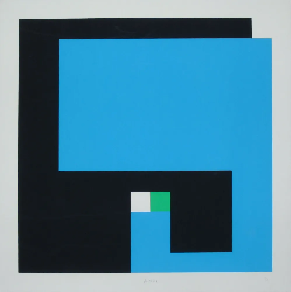 丝网印刷 Munari - Positivo Negativo