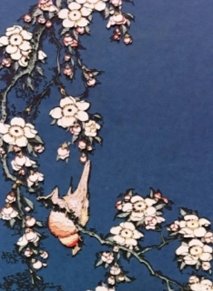 摄影 Muniz - Bullfinch and weeping cherry from small flowers