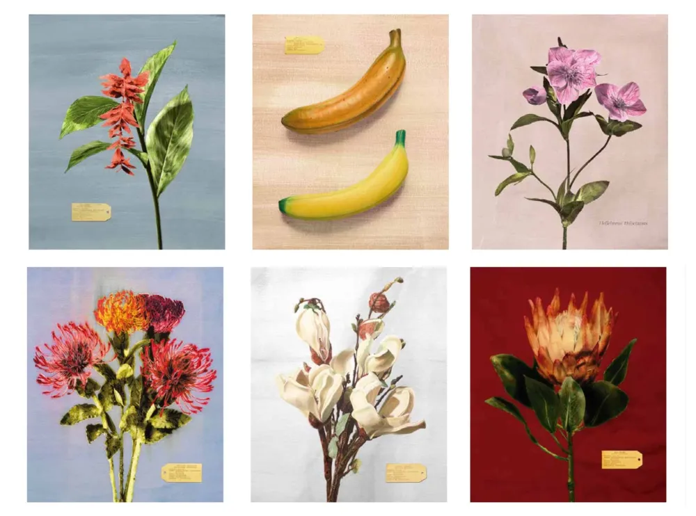 摄影 Muniz - Flora Industrialis