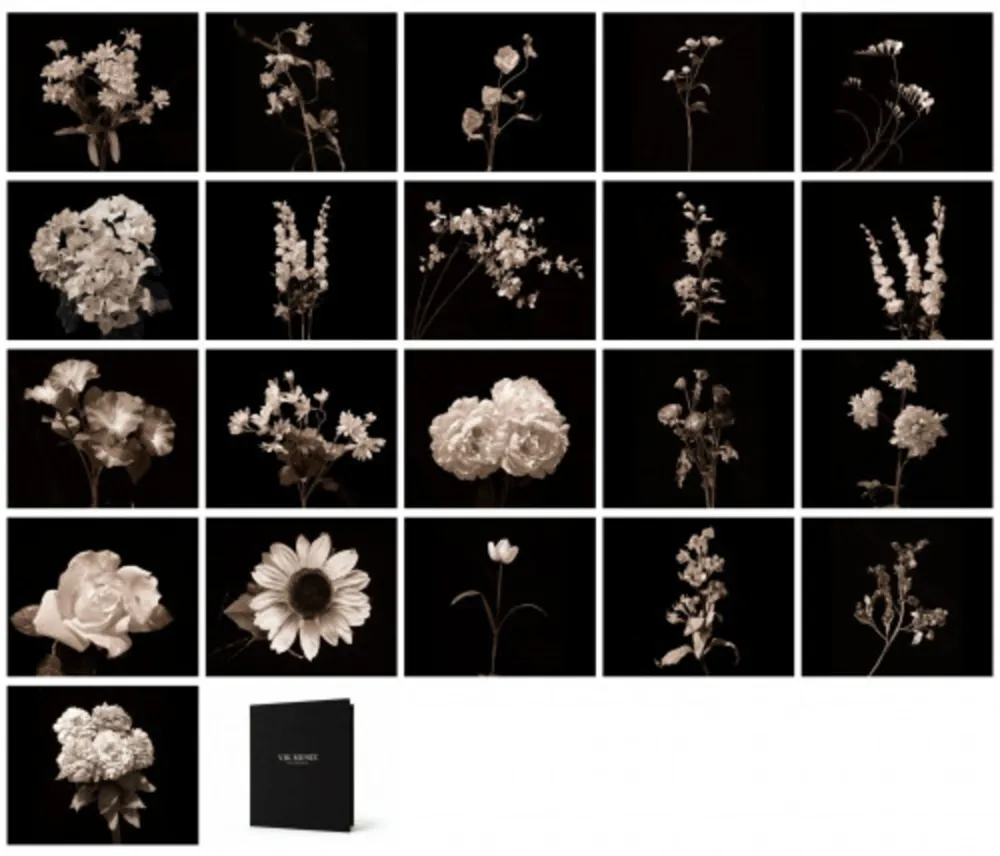 摄影 Muniz - Flora Industrialis B/N