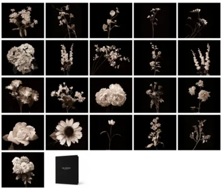 摄影 Muniz - Flora Industrialis B/N
