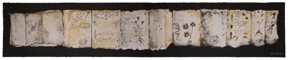 复数作品 Muñoz - Manuscrit III