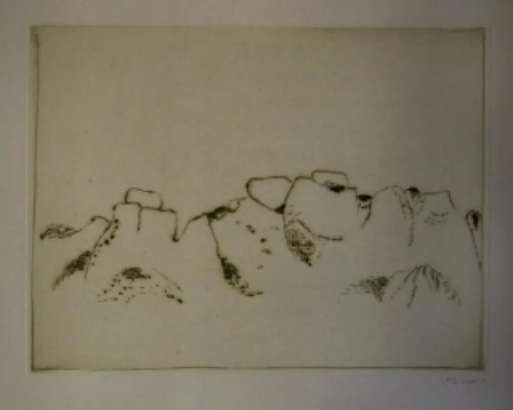 插图书 Music - Jardins déserts peut-être