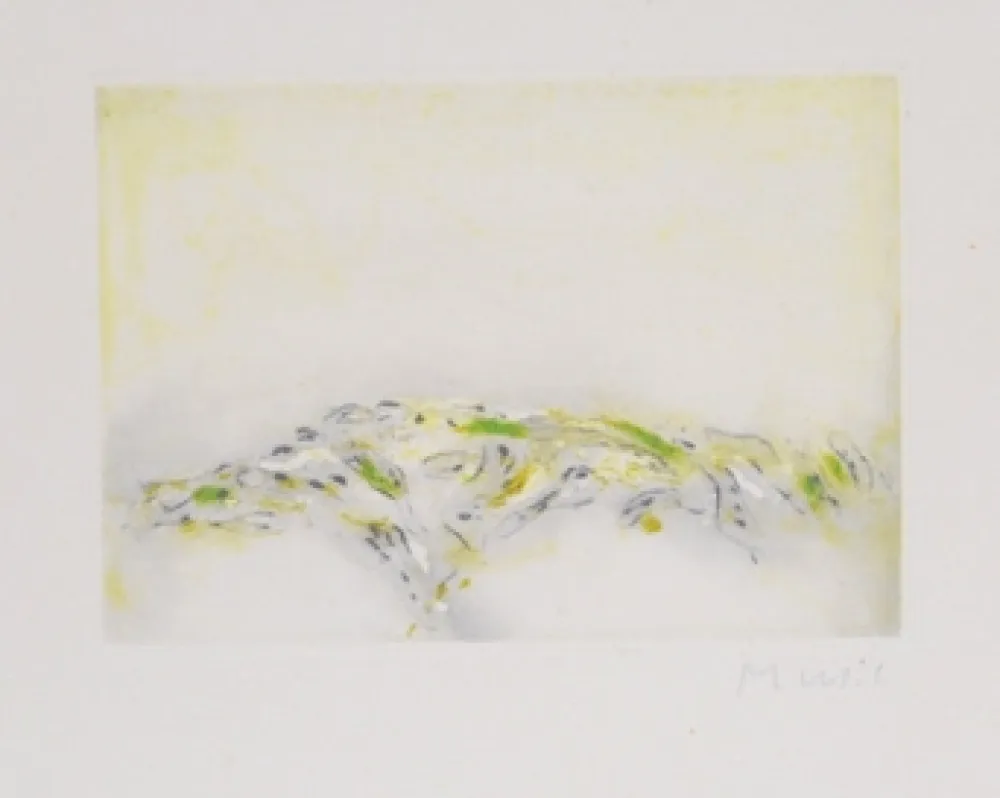 蚀刻飞尘法 Music - La terre ecrit la terre