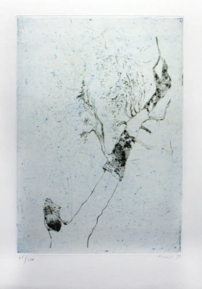 版画 Music - Motif végatal