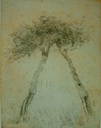 飞尘腐蚀法 Music - Motif vegetal