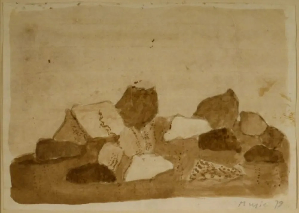 无技术 Music - Paysage Dalmate - Rocheux