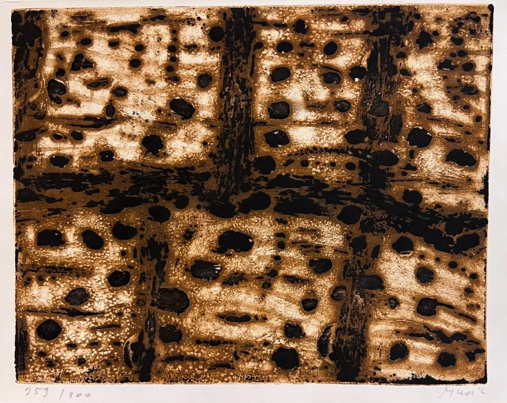 版画 Music - Shadow over the Carse 