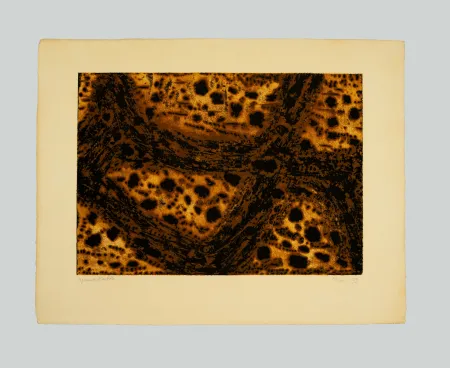 版画 Music - Terre dalmate