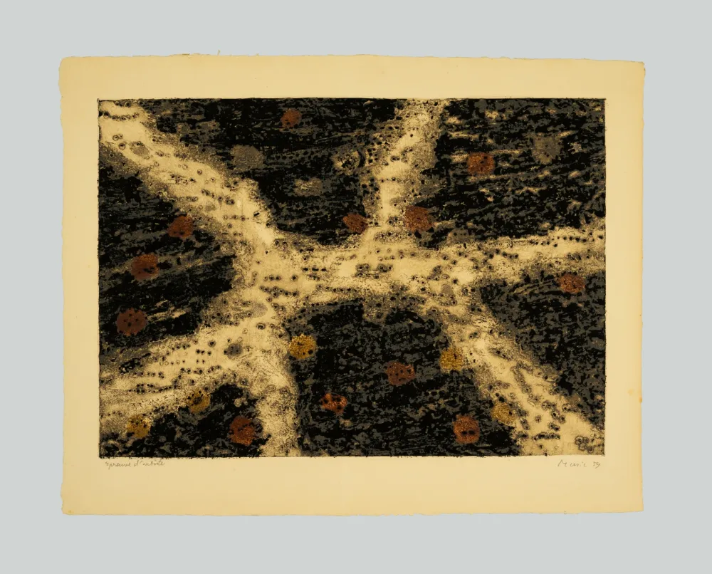 蚀刻飞尘法 Music - Terre dalmate