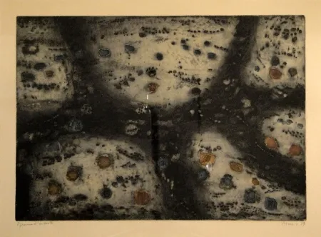 版画 Music - Terre d’Istrie