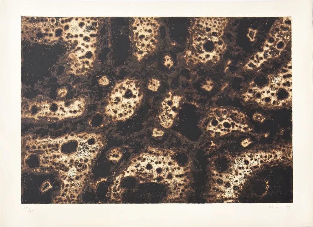版画 Music - Terres dalmates