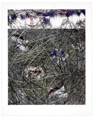 石版画 Myrvold - Winter Clouds II