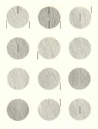 插图书 Nangeroni - Sei poesie per un romanzo