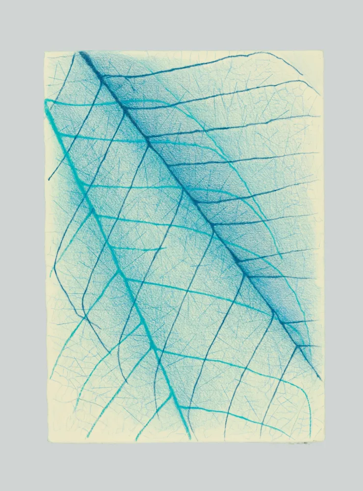 无技术 Napoleone - Essenze, assenze