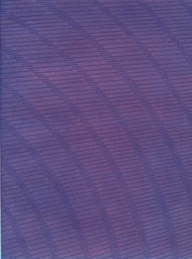 插图书 Napoleone - Rimanenze