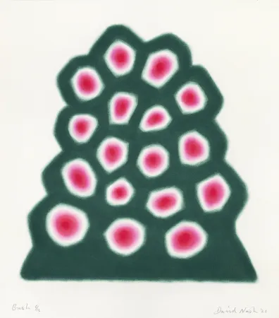 镂版印刷 Nash - Bush