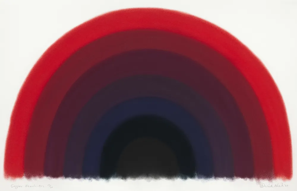 镂版印刷 Nash - Copper Beech Arc