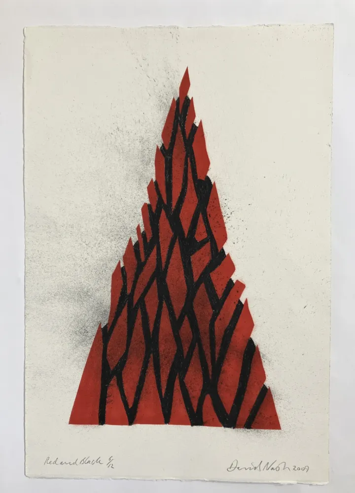 无技术 Nash - Red and black triangle, 2009