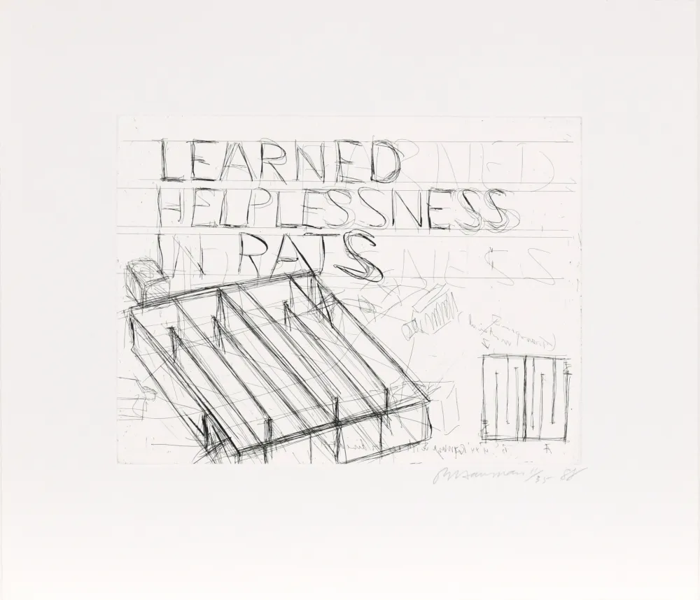 蚀刻版画 Nauman - Learned Helplessness from Rats