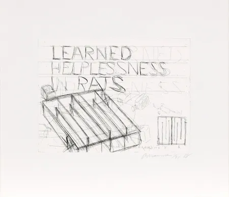 蚀刻版画 Nauman - Learned Helplessness from Rats