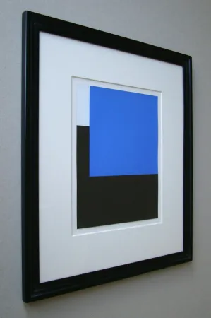 丝网印刷 Nemours - Espace bleu