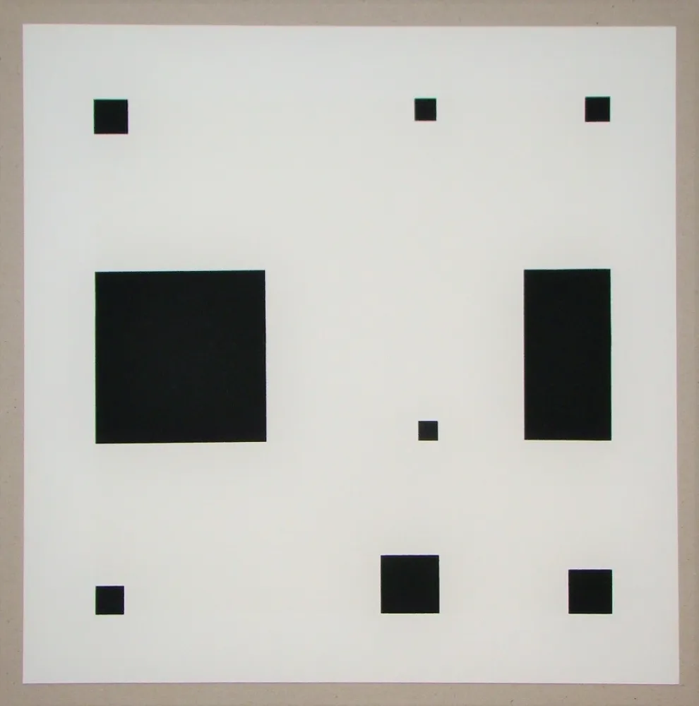 丝网印刷 Nemours - Noir demi rose II