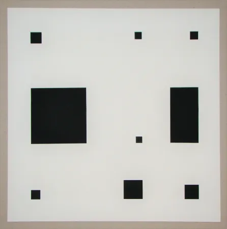 丝网印刷 Nemours - Noir demi rose II