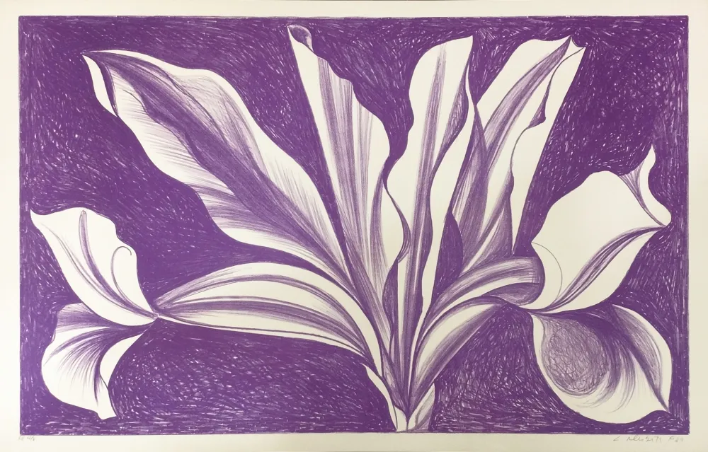 凸版印刷 Nesbitt - IRIS