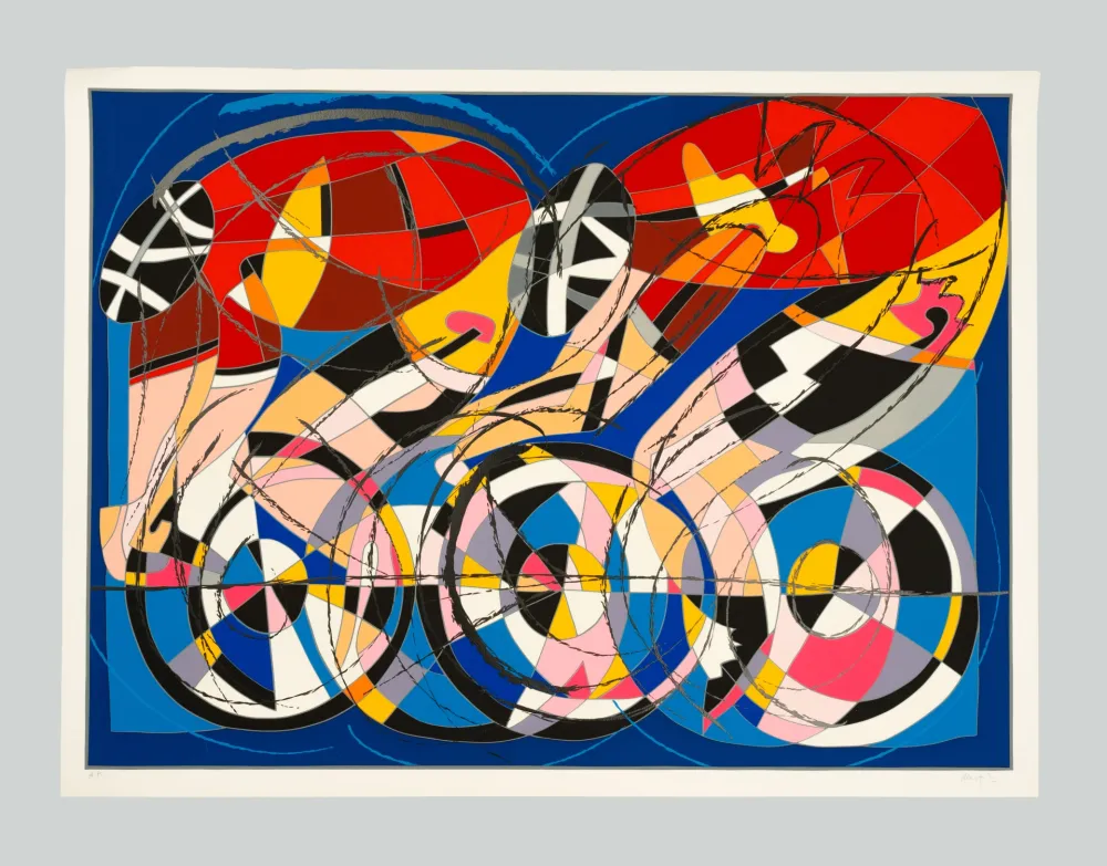 丝网印刷 Nespolo - Biciclette