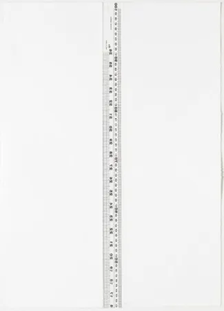 石版画 Nicolai - Diptych S/T