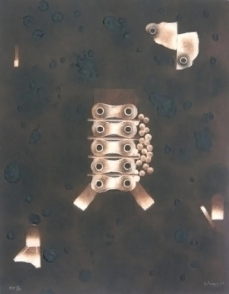 版画 Nissen - Mariposa obsidiana 4