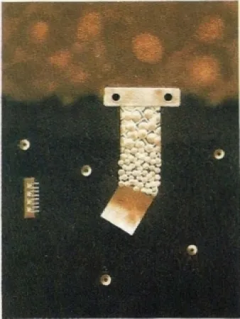 版画 Nissen - Mariposa obsidiana 6