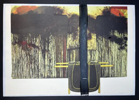 复数作品 Nitsch - Übermalte Bild-Lithographien