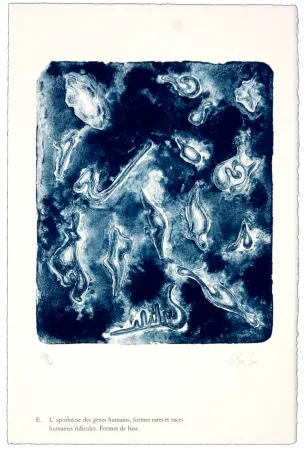 石版画 Nørgaard - E. L'apothéose des gènes humains, formes rares et races humaines ridicules. Forme de base.