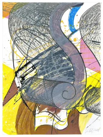 石版画 Nørgard - 12