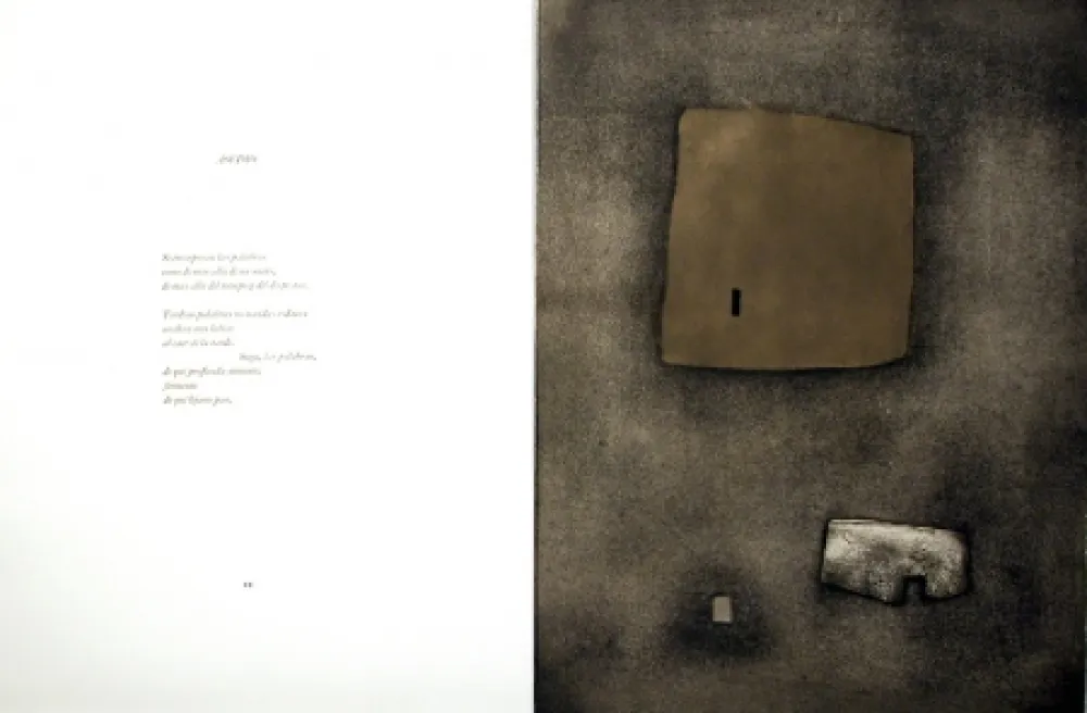 插图书 Nóvoa - Alén