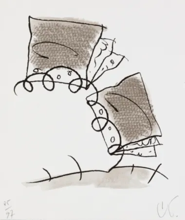 石版画 Oldenburg - Notebook Torn in Half