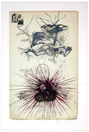 石版画 Olguin - Sans titre