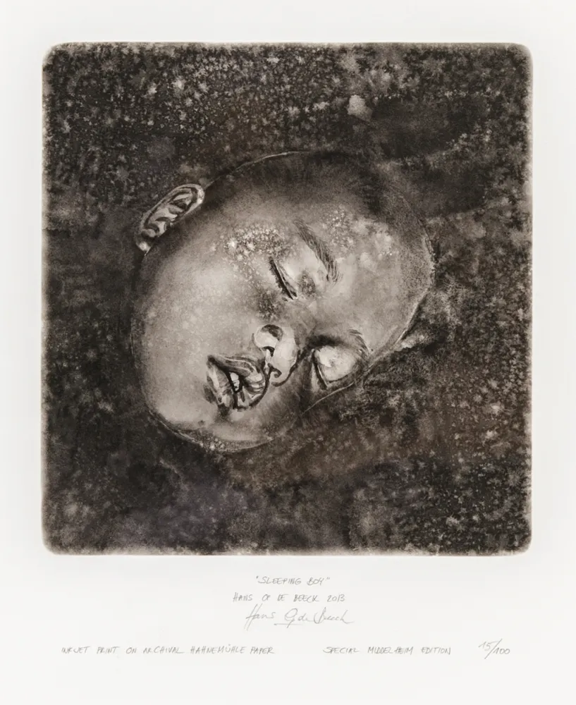 丝网印刷 Op De Beeck - Sleeping Boy