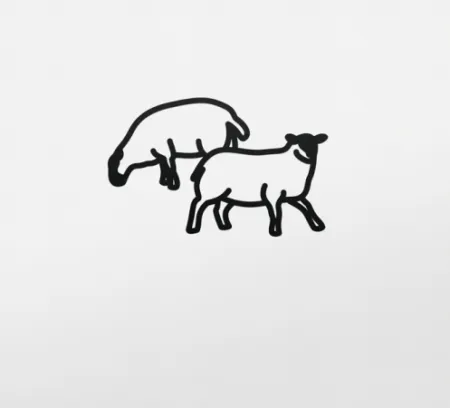 无技术 Opie - Sheep 2, from Nature 1 Series